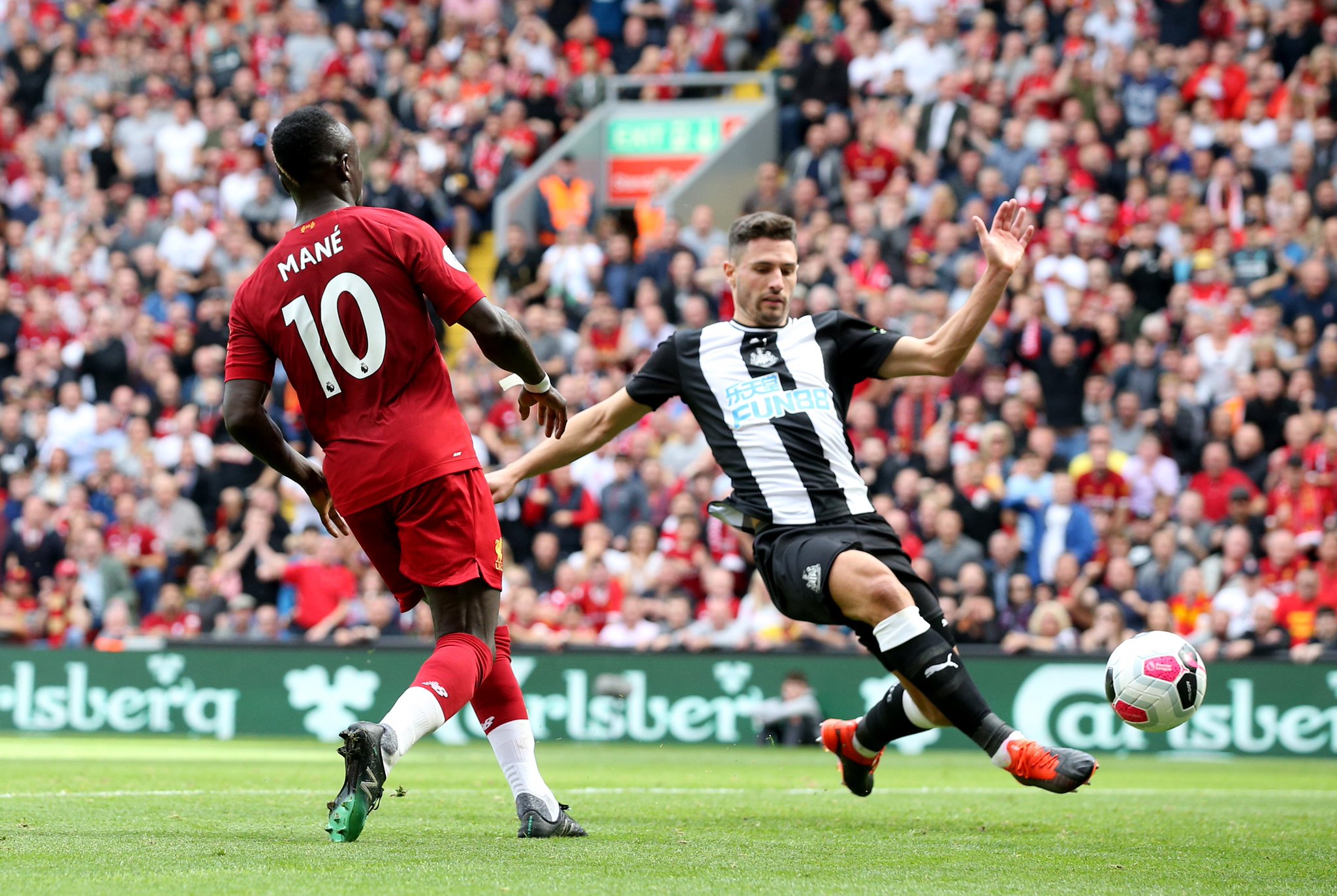 之林的原因 之林的原因